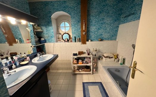 GRANDE PROPRIETE SUR PARC AVEC PISCINE