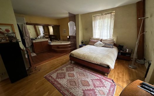 GRANDE PROPRIETE SUR PARC AVEC PISCINE